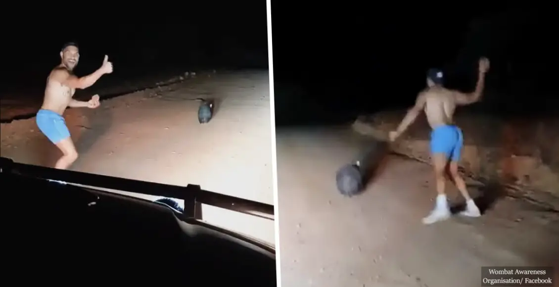 Off-duty cop stones defenseless wombat to death for a laugh