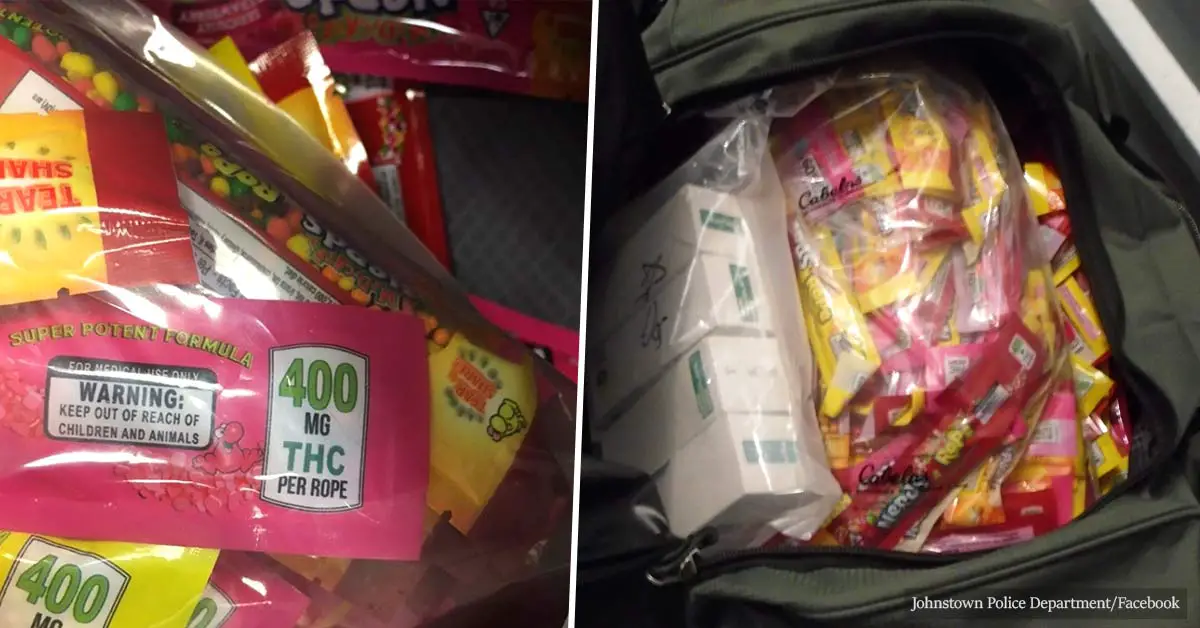 Parents warned to check their children's Halloween candy after police found treats laced with 400mg of THC in Pennsylvania