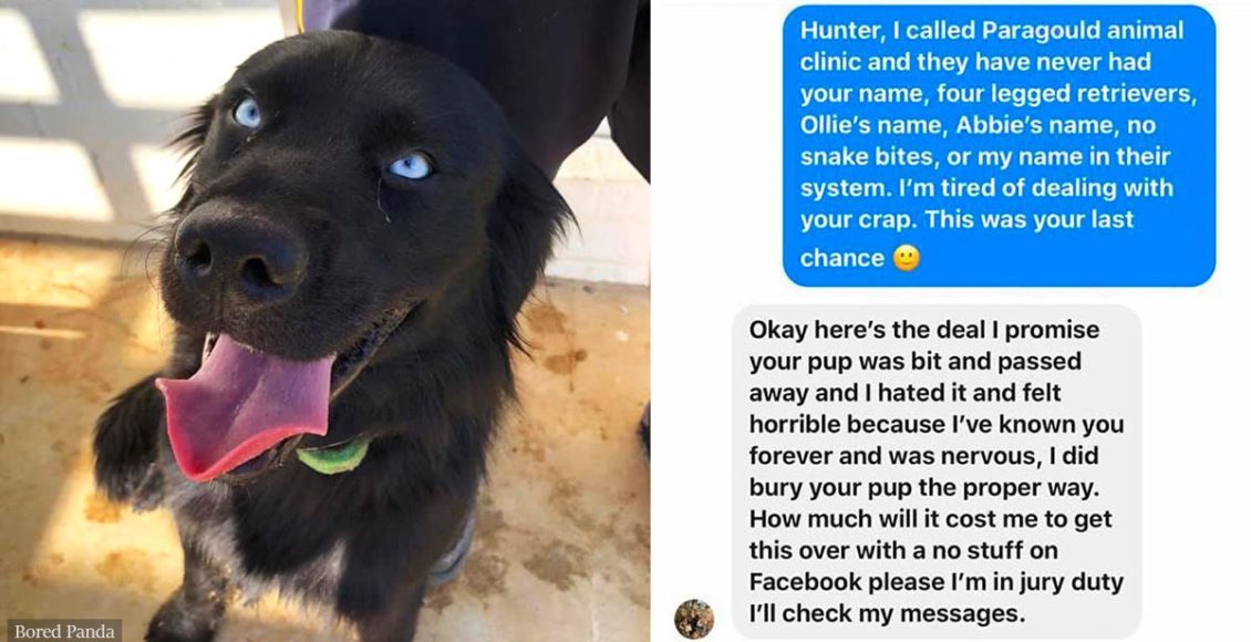Woman lost her dog because of an impostor dog trainer