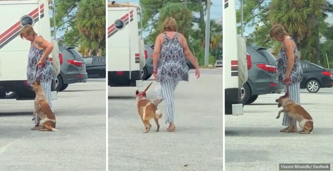 Woman physically abused her dog, laughed at the man who tried to stop her