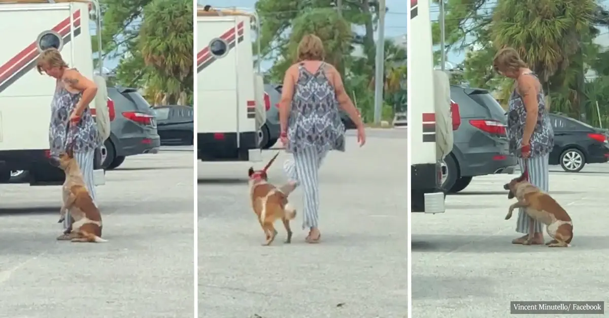 Woman physically abused her dog, laughed at the man who tried to stop her
