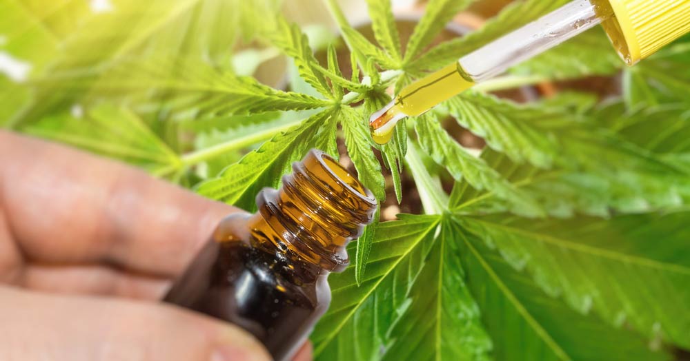 CBD: The Proven Physical and Mental Benefits