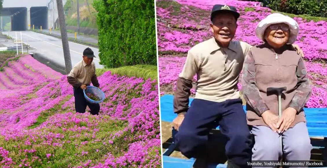 Loving husband spends 2 years planting thousands of flowers to make his blind wife smile again