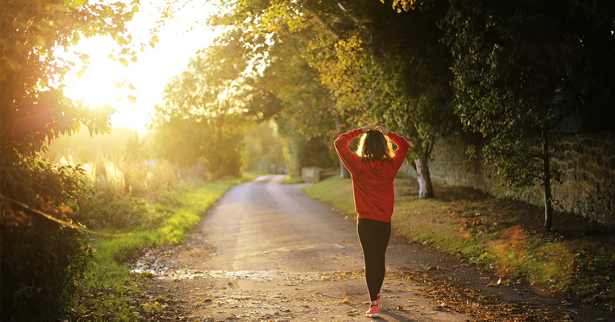 The more trees we have around us, the lower our stress levels are