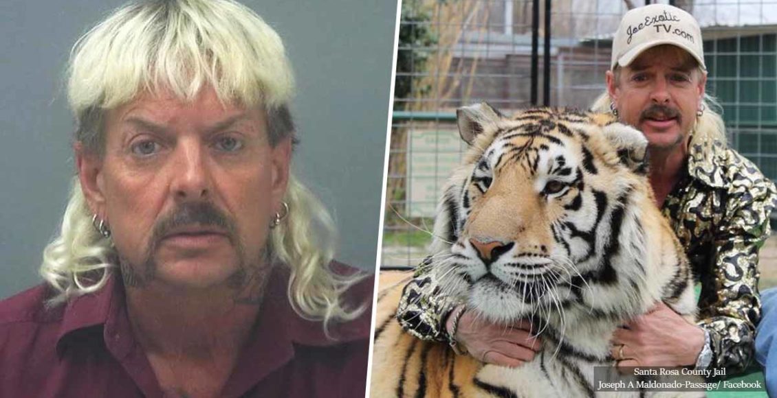 Animal Abuser 'Joe Exotic' Sentenced to 22 Years in Prison for Murder-for-Hire and Wildlife Crimes
