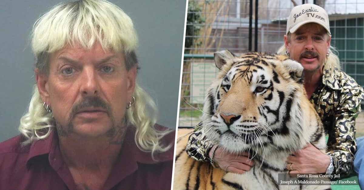 Animal Abuser 'Joe Exotic' Sentenced to 22 Years in Prison for Murder-for-Hire and Wildlife Crimes
