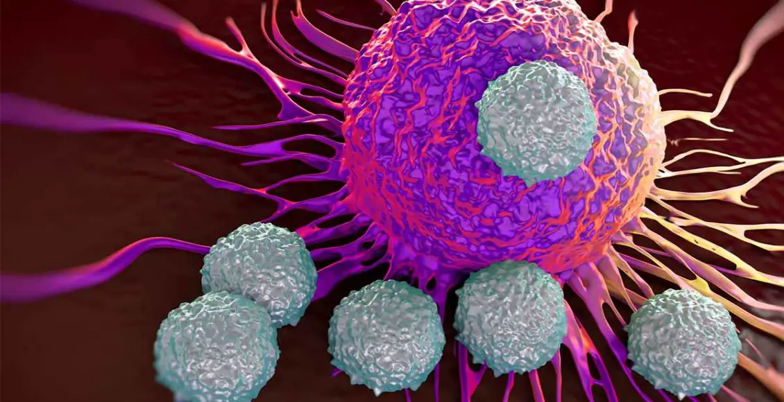 Breakthrough immune discovery 'may treat all cancer'