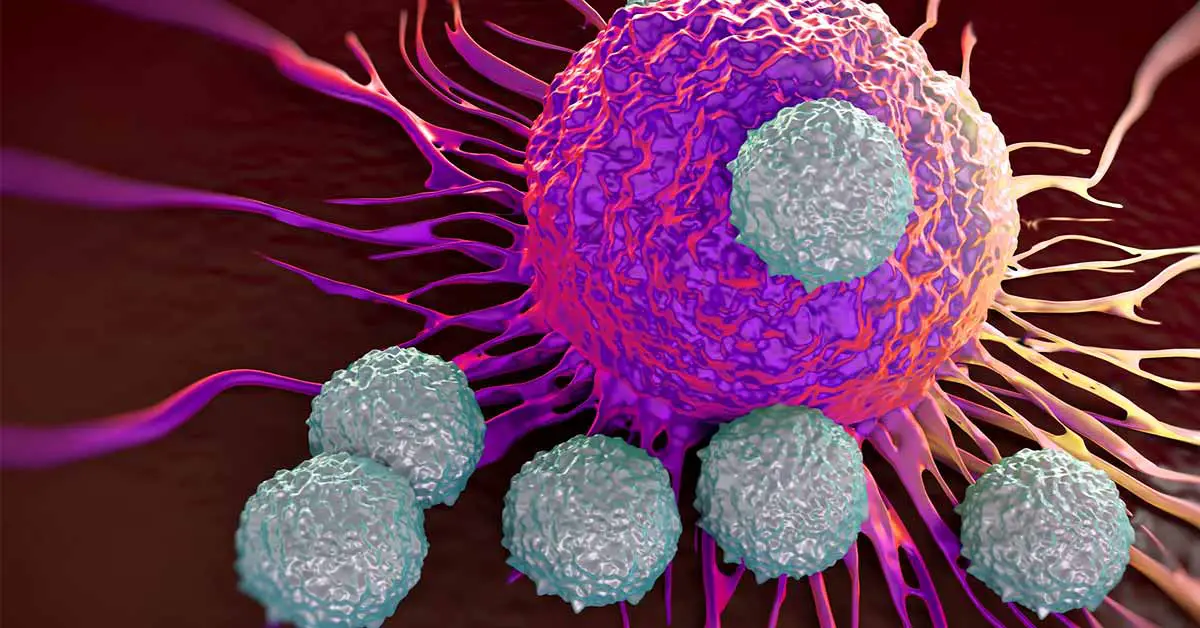 Breakthrough immune discovery 'may treat all cancer'