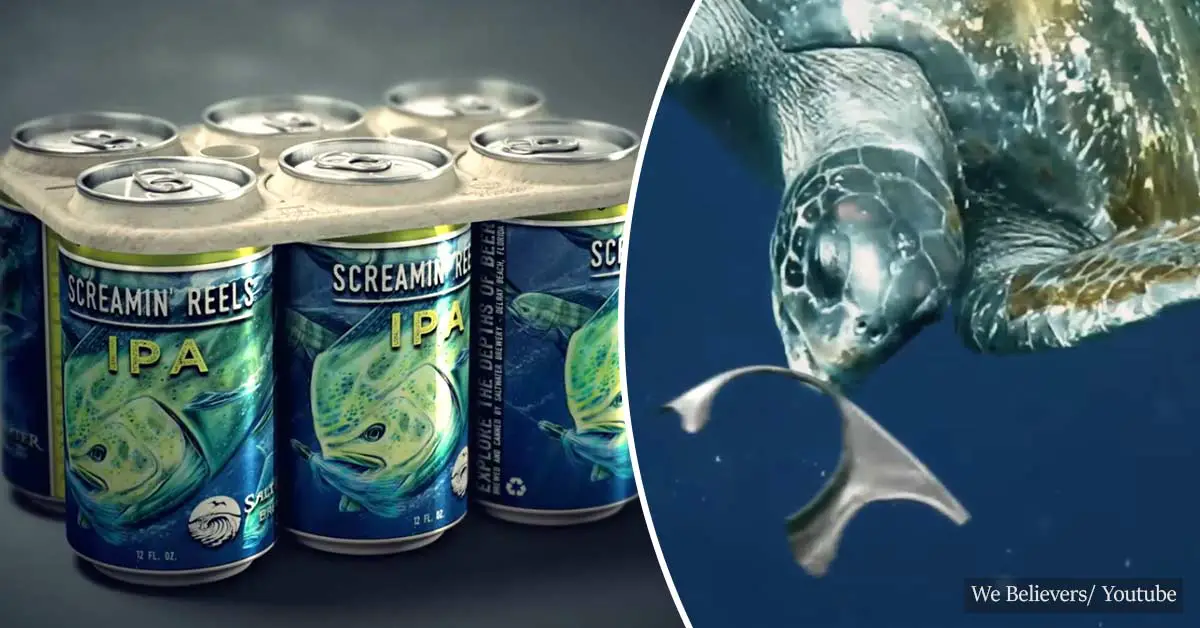Brewery uses eco-friendly 6-pack rings that feed sea turtles instead of killing them