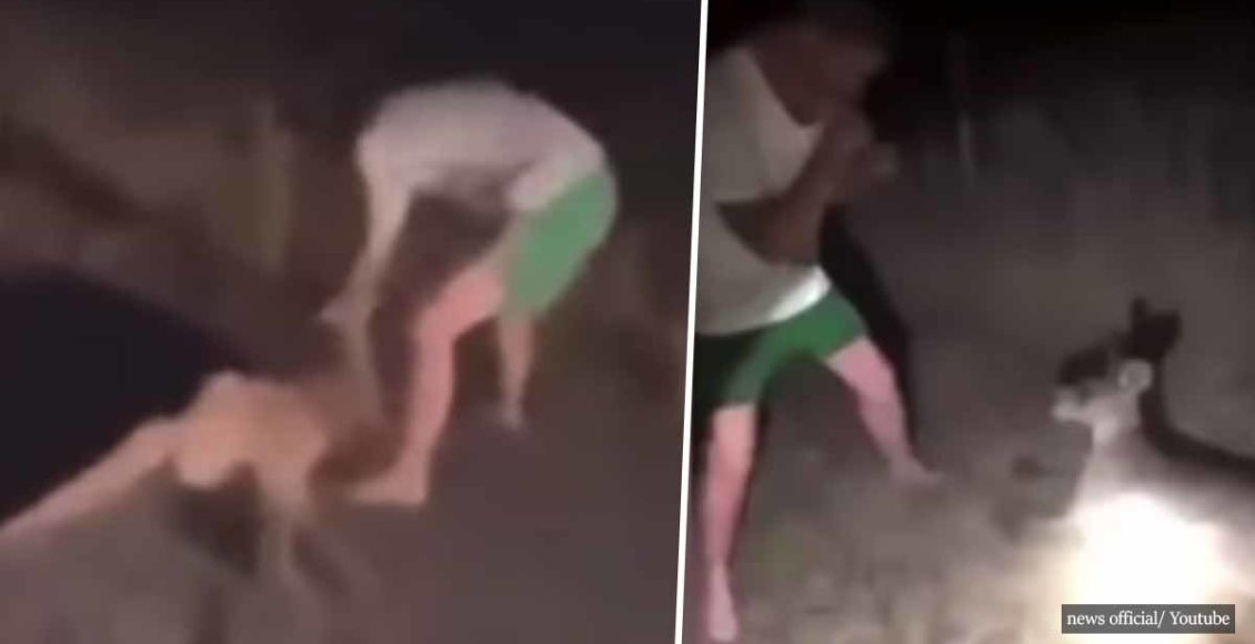 Man repeatedly hits defenseless Kangaroo while friend laughs