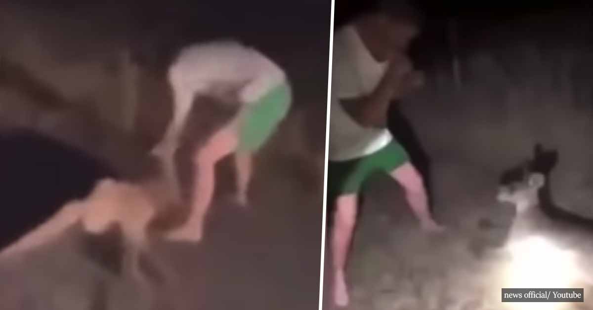 Man repeatedly hits defenseless Kangaroo while friend laughs