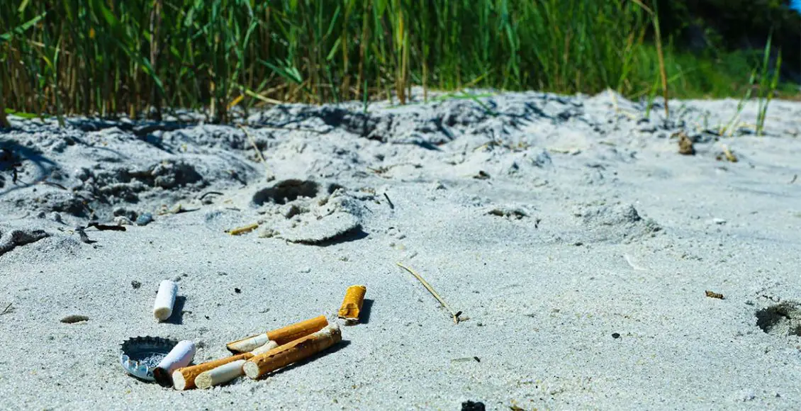 Cigarette butts are the single largest source of ocean trash