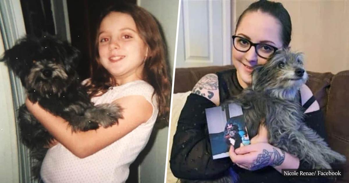 Woman Adopts A Senior Shelter Dog Only To Realize It’s Actually Her Childhood Best Friend