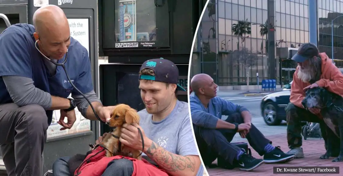A veterinarian voluntarily treats homeless people's pets in California