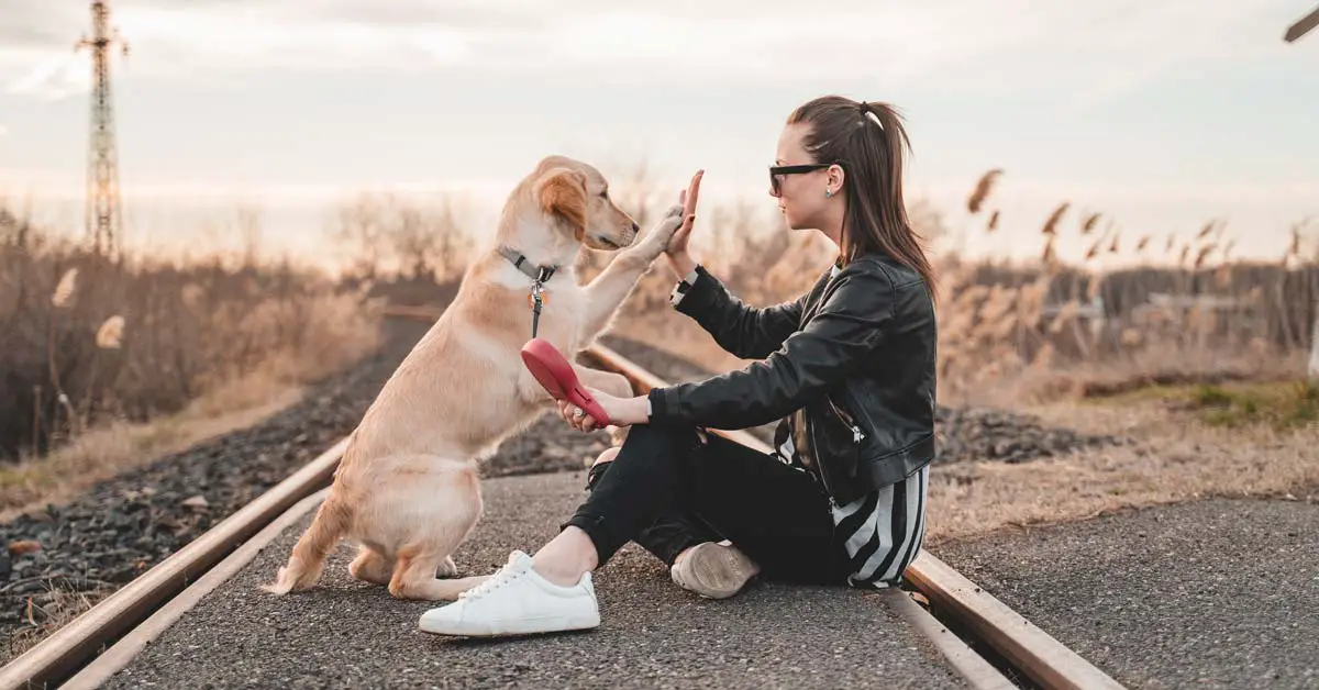 What makes the connection between humans and dogs so special? Science says love!