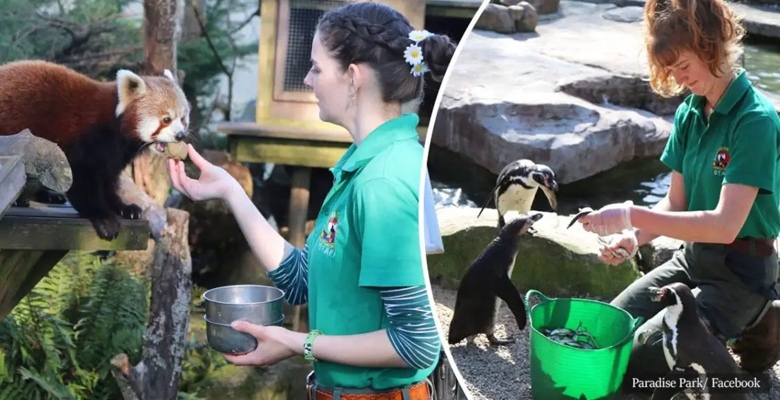 Zookeepers self-isolate in a wildlife park for 12 weeks to look after the animals