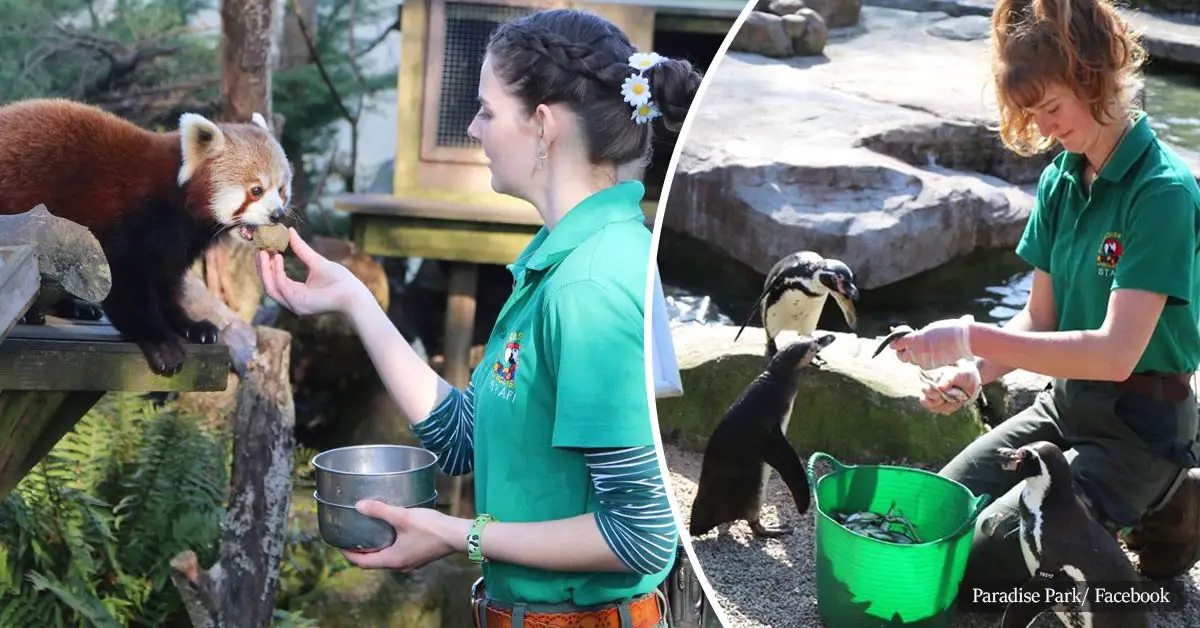 Zookeepers self-isolate in a wildlife park for 12 weeks to look after the animals