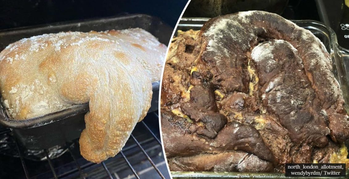30+ hilarious photos of quarantine baking fails