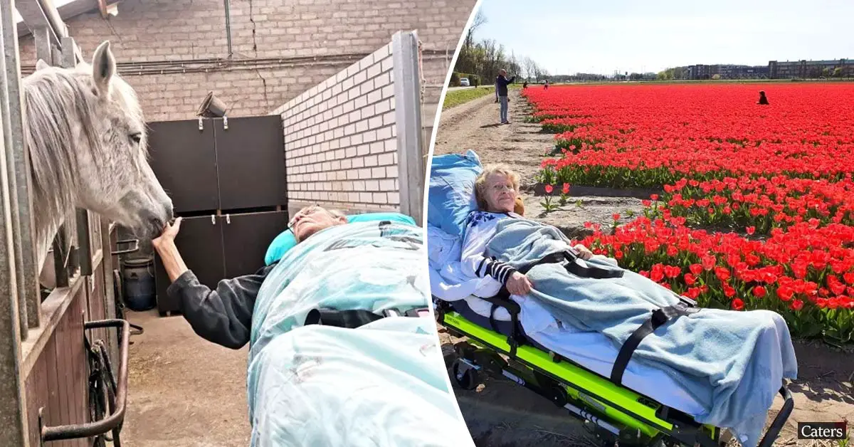 A dutch paramedic takes dying patients on one final dream journey