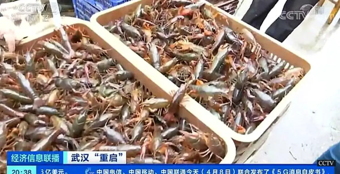 Footage Shows Wuhan's Biggest Wet Market As It Reopens. WHO Backs Controversial Move