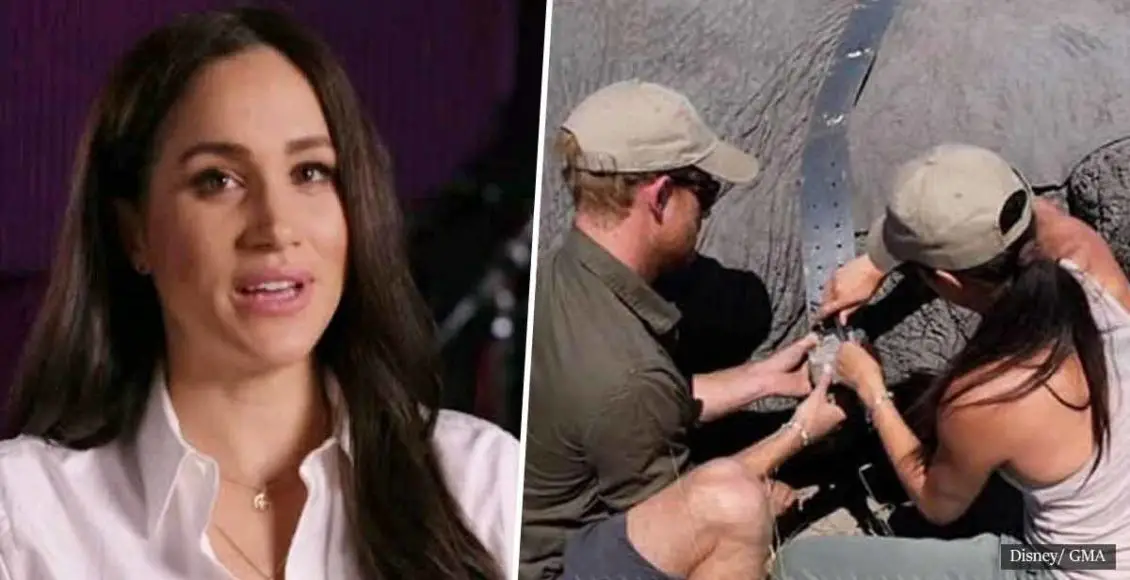 In an exclusive interview, Meghan Markle says she 'understands' elephants while promoting a wildlife documentary she narrates