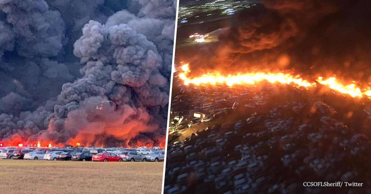 More than 3,500 hire cars were destroyed at a massive fire at a Florida airport