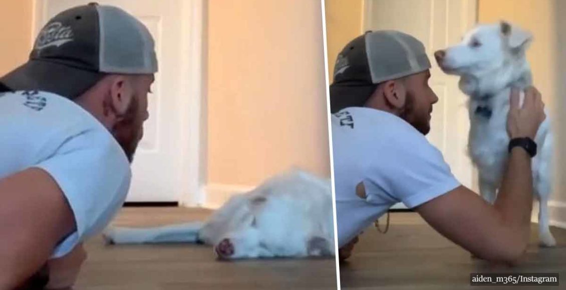 People are in tears after seeing the adorable way an owner wakes his deaf and blind dog up without scaring her