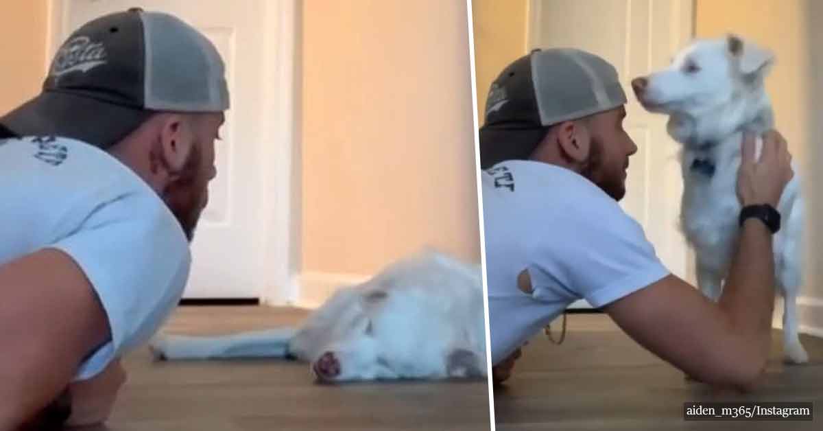 People are in tears after seeing the adorable way an owner wakes his deaf and blind dog up without scaring her