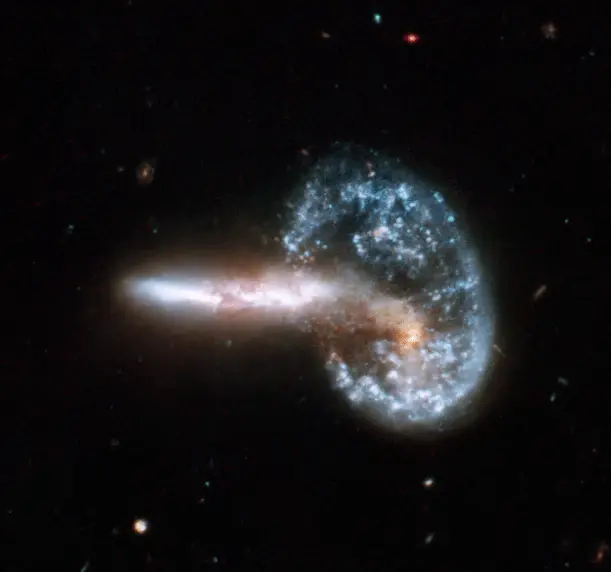 this image shows two hubble space telescope images