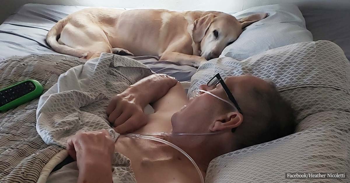 Air Force veteran and his loyal dog died within hours of each other