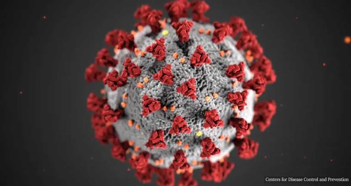 Coronavirus isn't just a respiratory disease, it may hit the whole body