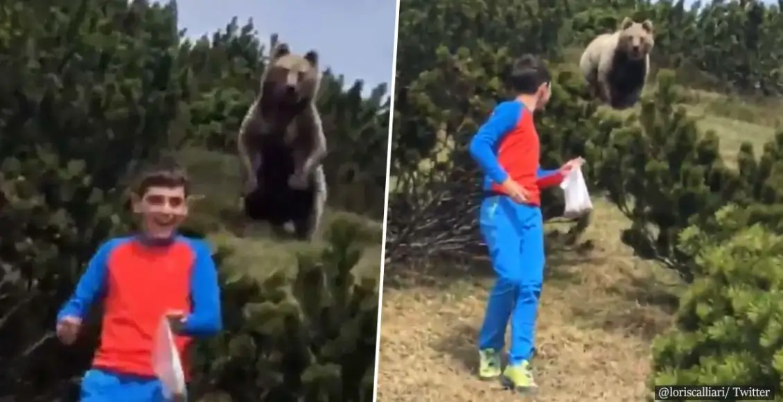 Fearless boy, 12, followed by a bear in a chilling video from Italy