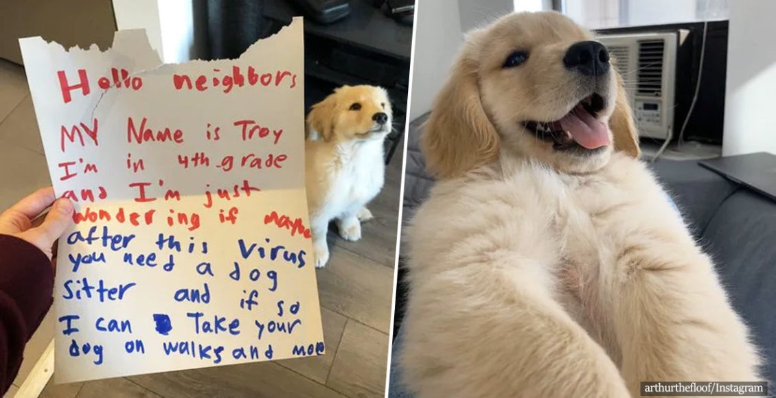 Hearts Are Melting: A Little Boy Wrote A Letter Offering To Walk His Neighbors' Pup "After The Virus"