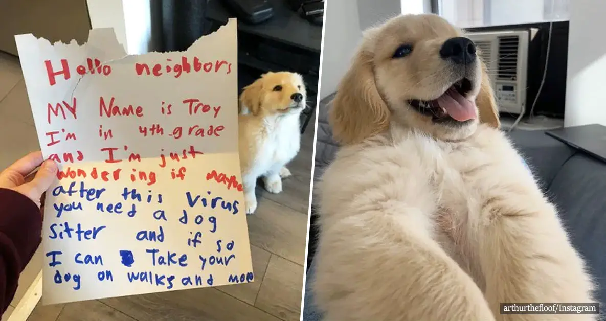 Hearts Are Melting: A Little Boy Wrote A Letter Offering To Walk His Neighbors' Pup "After The Virus"