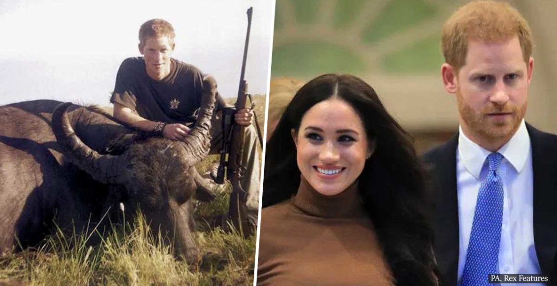 Prince Harry sells his £50,000 worth shooting rifles and gives up hunting for wife Meghan Markle