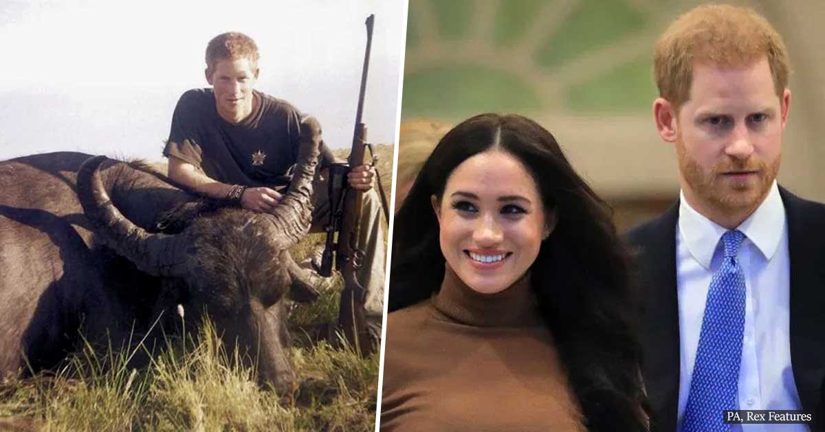 Prince Harry sells his £50,000 worth shooting rifles and gives up hunting for wife Meghan Markle