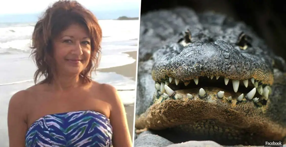 Woman Tragically Killed By Alligator After Trying To 'Stroke' It