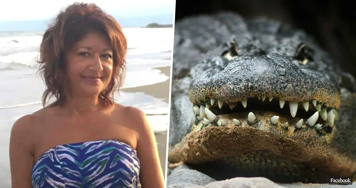 Woman Tragically Killed By Alligator After Trying To 'Stroke' It