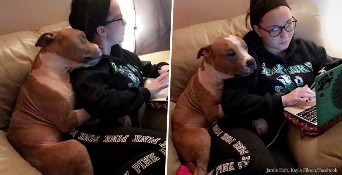 Grateful Pup Cannot Stop Cuddling The Woman Who Rescued Him