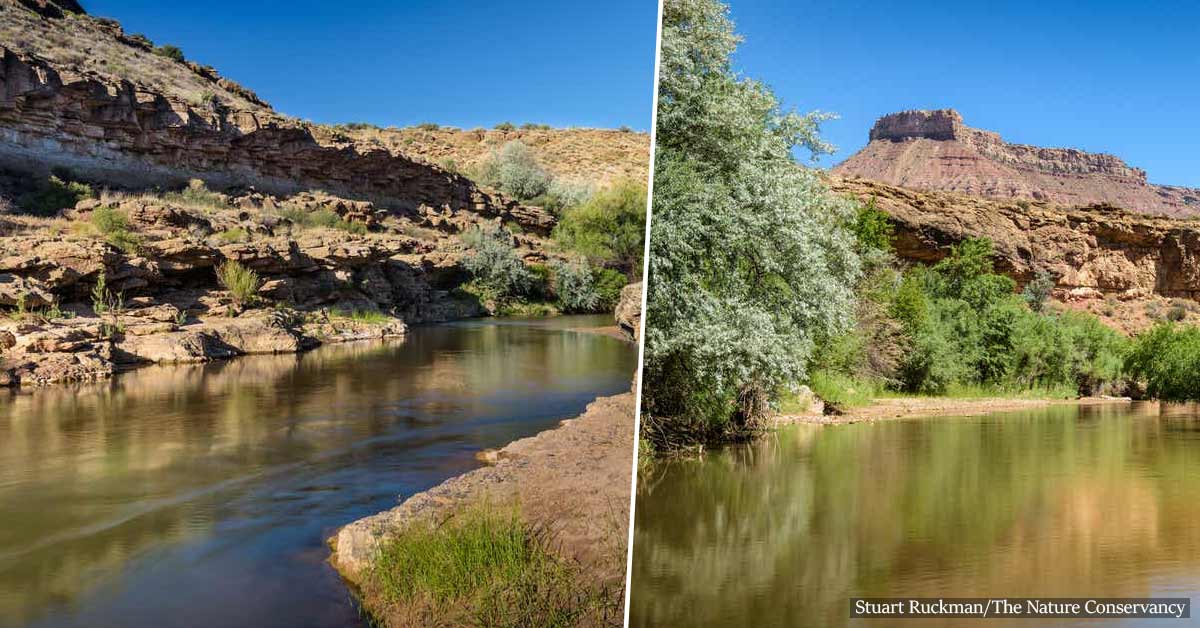 Virgin River running through Zion National Park will be preserved FOREVER thanks to The Nature Conservancy