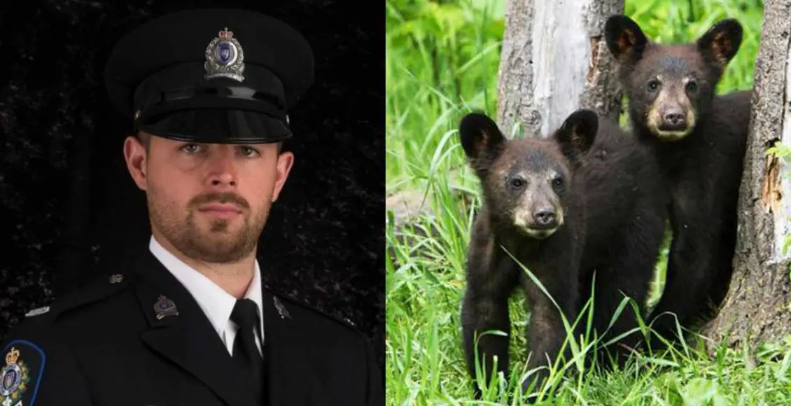 Conservation Officer Who Was Fired For Refusing To Kill Bear Cubs Wins Legal Battle Clearing His Name