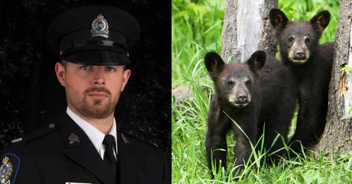 Conservation Officer Who Was Fired For Refusing To Kill Bear Cubs Wins Legal Battle Clearing His Name
