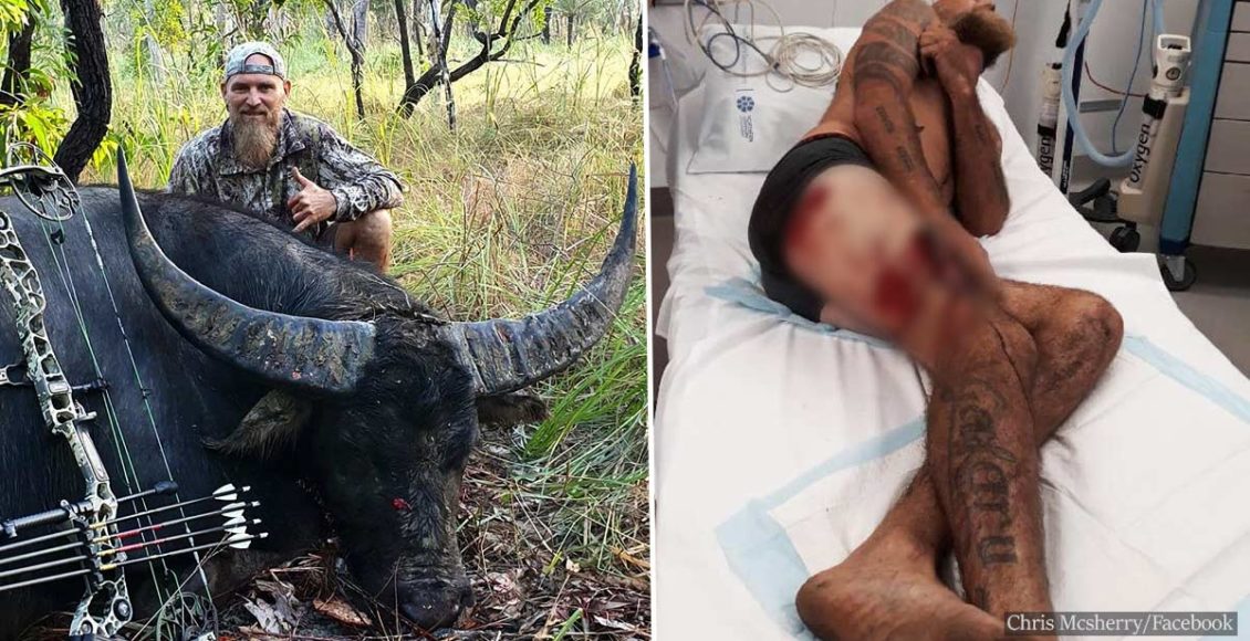 Dying Buffalo Severely Injures Hunter In Final Act Of Revenge