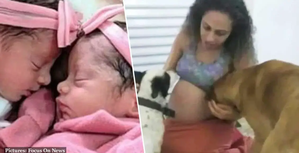 ‘Jealous’ Labrador cross mauls newborn twin girls to death