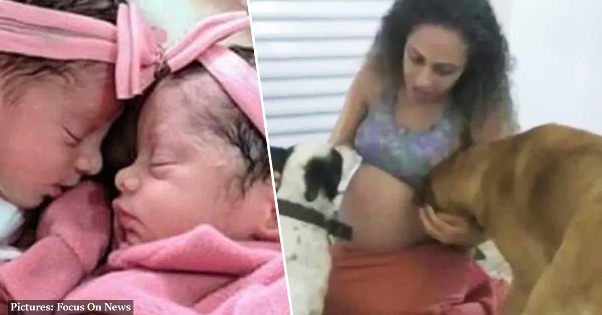 ‘Jealous’ Labrador cross mauls newborn twin girls to death