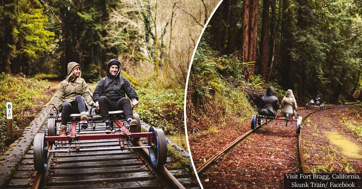 Pedal through the Redwoods of Northern Carolina on a custom-made railbike