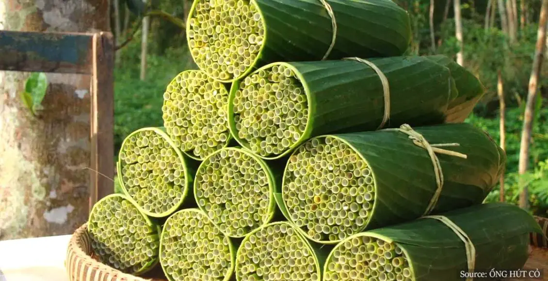 Straws Made Of Wild Grass Are Vietnam’s Newest Zero-Waste Option