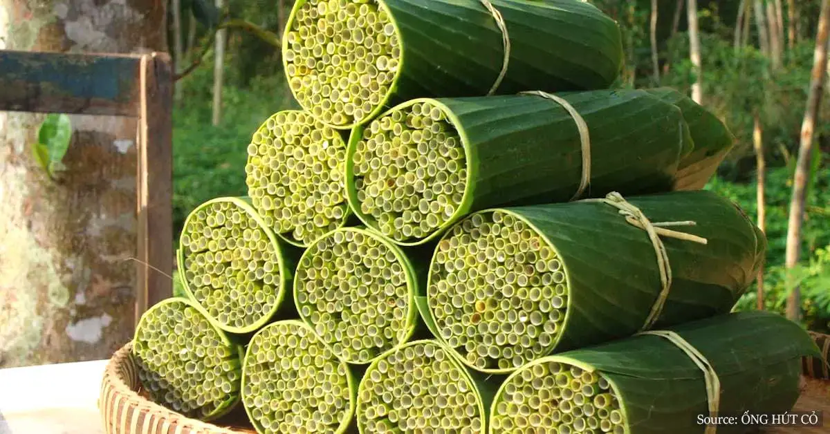 Straws Made Of Wild Grass Are Vietnam’s Newest Zero-Waste Option
