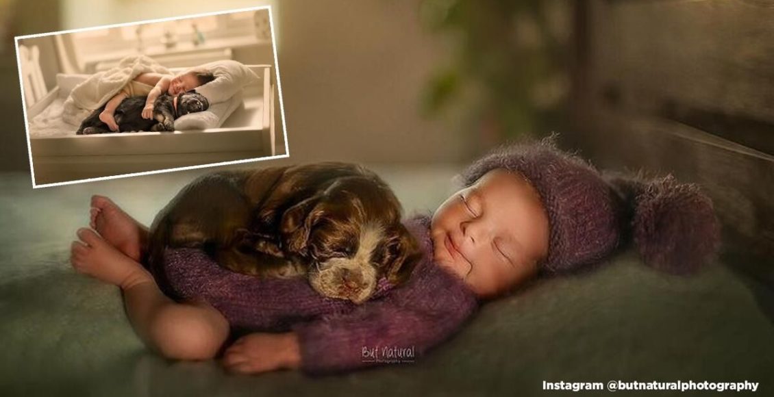 The sweetest photoshoot: 15 incredibly adorable pics of newborn babies snuggling with animals