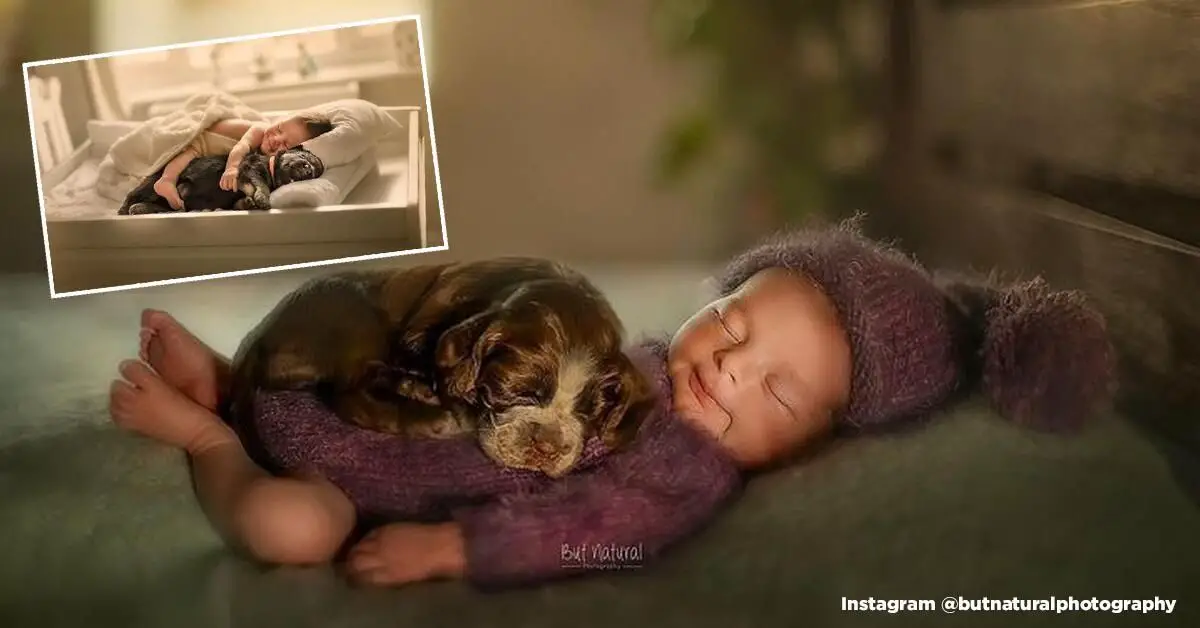The sweetest photoshoot: 15 incredibly adorable pics of newborn babies snuggling with animals
